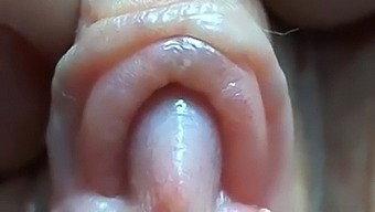 Intense Closeup Of Pussy Lips And Clit